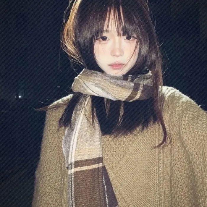 一条狗的使命